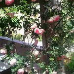 Vikendica Getaway House-one Bedroom With Terrace And Sea View Vela Luka