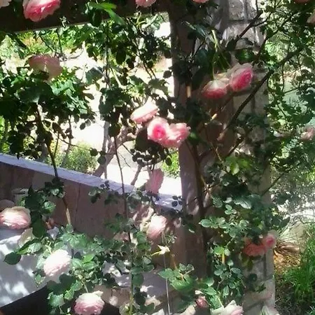 Semesterbostad Getaway House-one Bedroom With Terrace And Sea View Vela Luka