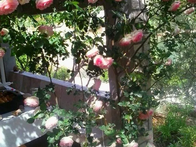 Nyaraló Getaway House-one Bedroom With Terrace And Sea View Vela Luka